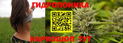 PSILOCYBIN Пенза